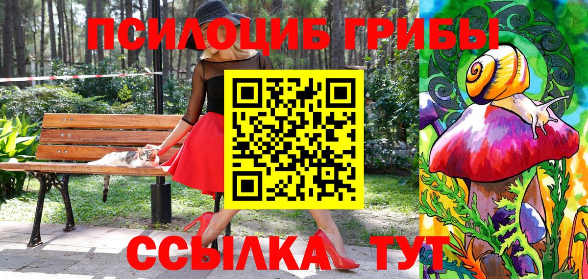 Псилоцибиновые грибы GOLDEN TEACHER Муравленко